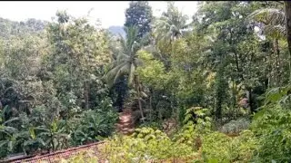 Silaturahmi ke Rumah Saudara di Pegunungan Somorejo|| Perjalanan Alam 