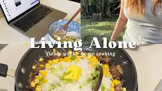 Living Alone in the Philippines: student edition, finals, home cooking 🥞