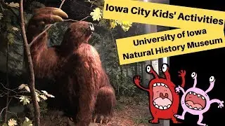 Things To Do In Iowa City -- University of Iowa Natural History Museum