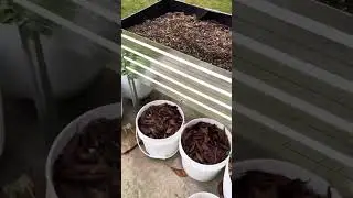 Frozen garden 