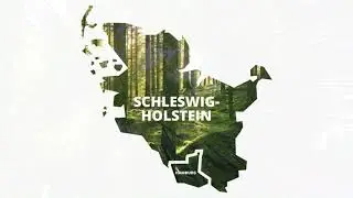 Klimaeichen.de - Baumpatenschaften in Hamburg / Schleswig-Holstein - Aufforstungen gegen Klimawandel