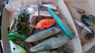 lure hunting 2022
