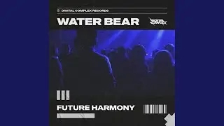Future Harmony (Extended Mix)