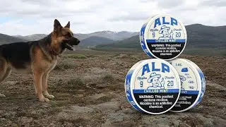 Think Alp @alppouch Давайте работать вместе @TuckerCarlson