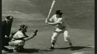 Batting Lessons