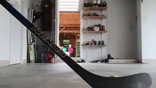 Confinement hockey party time