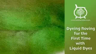 Dye Time #80: Let's Dye Some Roving! Low Immersion Fibre Dyeing with Liquid Acid Dyes, Spinning