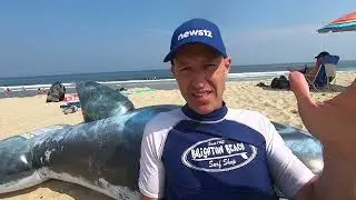NEW JERSEY BEACH REVIEWS: BELMAR