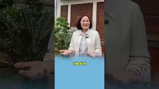 7 Suy nghĩ sai làm của phụ huynh về vai trò và trách nhiệm của giáo viên #giaoduc #lelan