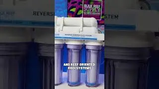 BRS Reefing Essentials! #brstv