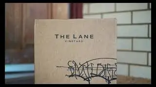 The Lane Delivery