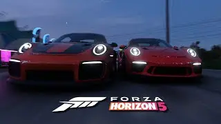 FORZA HORIZON 5 X RANDOM MOMENTS