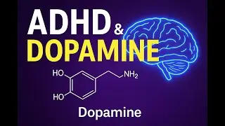 ADHD, Genes & Dopamine: How Tyrosine Becomes Dopamine and Adrenaline in the Brain