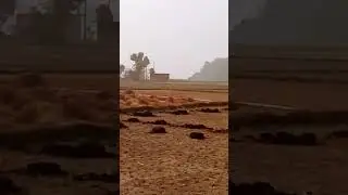 hamare khet ki jutai #shorts #tractor #travel #india