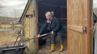 Making a garden bed and filling with chicken poo