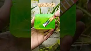 Khadi Natural Aloevera Soap pH Test #Shorts #shortvideo #ytshorts #viralvideo #Whatif #if