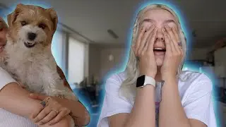Kuidas ma oma näonahka hooldan? // VLOG FINALLY ❤️