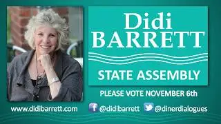 Re-Elect Didi Barrett: Our Full-Time Advocate For The Hudson Valley