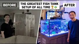 This Is What a PERFECT Tank Setup Looks Like 💎🐠
