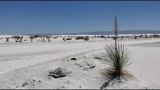 USA 2019: White Sands, New Mexico