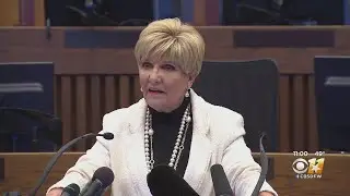 Betsy Price Won't Seek 6th Term As Fort Worth Mayor