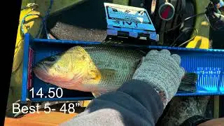 Livescope on Lake Chickamauga 