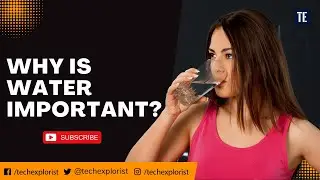 Why does our body need water?