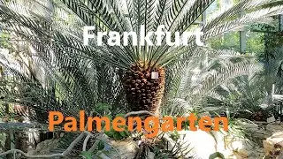 Palmengarten: Botanical Garden in Frankfurt with beautiful scenes (4K video in 4 minutes)
