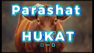 2025 ИСПАНСКИЙ - Парашат Хукат - 