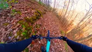 The Holler Trail In Reverse | Will it Equal More Flow?