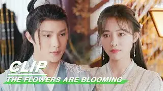 Clip: Chen Langyue And Li Qingfeng's First Meeting | The Flowers Are Blooming EP01 | 清风朗月花正开 | iQiyi