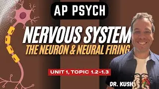 The Nervous System, Neuron and Neural Firing I AP Psychology I Unit 1, Topics 1.2-1.3.