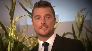Latest in 'Bachelor' Star Chris Soules' Fatal Crash