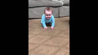Teddys Crawling