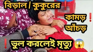 বিড়াল বা কুকুর আঁচড় / কামড় দিলে করণীয় কী? | Cat Dog Bite Treatment Bangla
