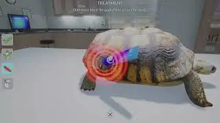 MY LIFE PET VET PS5