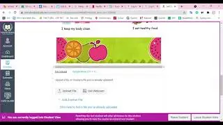 How to upload a file into an assignment on Canvas LMS