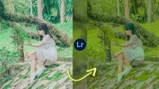 Lightroom soft green effect photo editing tutorial in mobile || lightroom presets free download