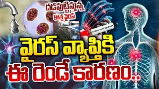 ఈ రెండింటి కారణంగానే వైరస్ విజృంభణ..| GBS Virus Outbreak | GBS In AP State | Reasons To GBS Bacteria