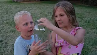 Catching Fireflies