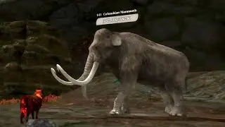 The Wolf - Featured Tropical Forest is Hard Even For My Strongest Account 🏆