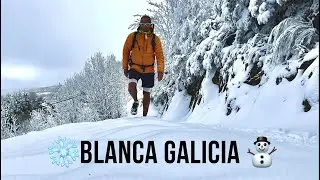 Camino 51 Francés Enero 2023 Parte 22