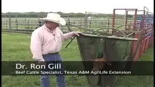 Ron Gill - BQA - Dehorning of Cattle