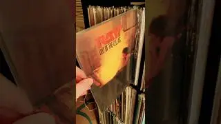 Ratt Out Of The Cellar #shorts #ratt #vinyl