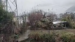Полиция Доды раскрыла дело о краже; обвиняемый арестован.