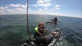 Pêche du Bar au LEURRE souple(Hobie outback 2019)