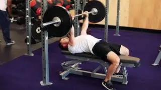 The Daily Pursuit - BB Bench Press