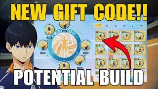 NEW GIFT CODE + KAGEYAMA POTENTIAL BUILD RECOMMENDATION - HAIKYU!! FLY HIGH