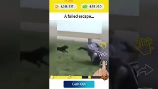 Look This Poor Guy...| ClipClaps