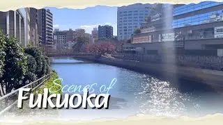 [🇯🇵Fukuoka] Glitter on the Water, Guitar in the Air #travel #music